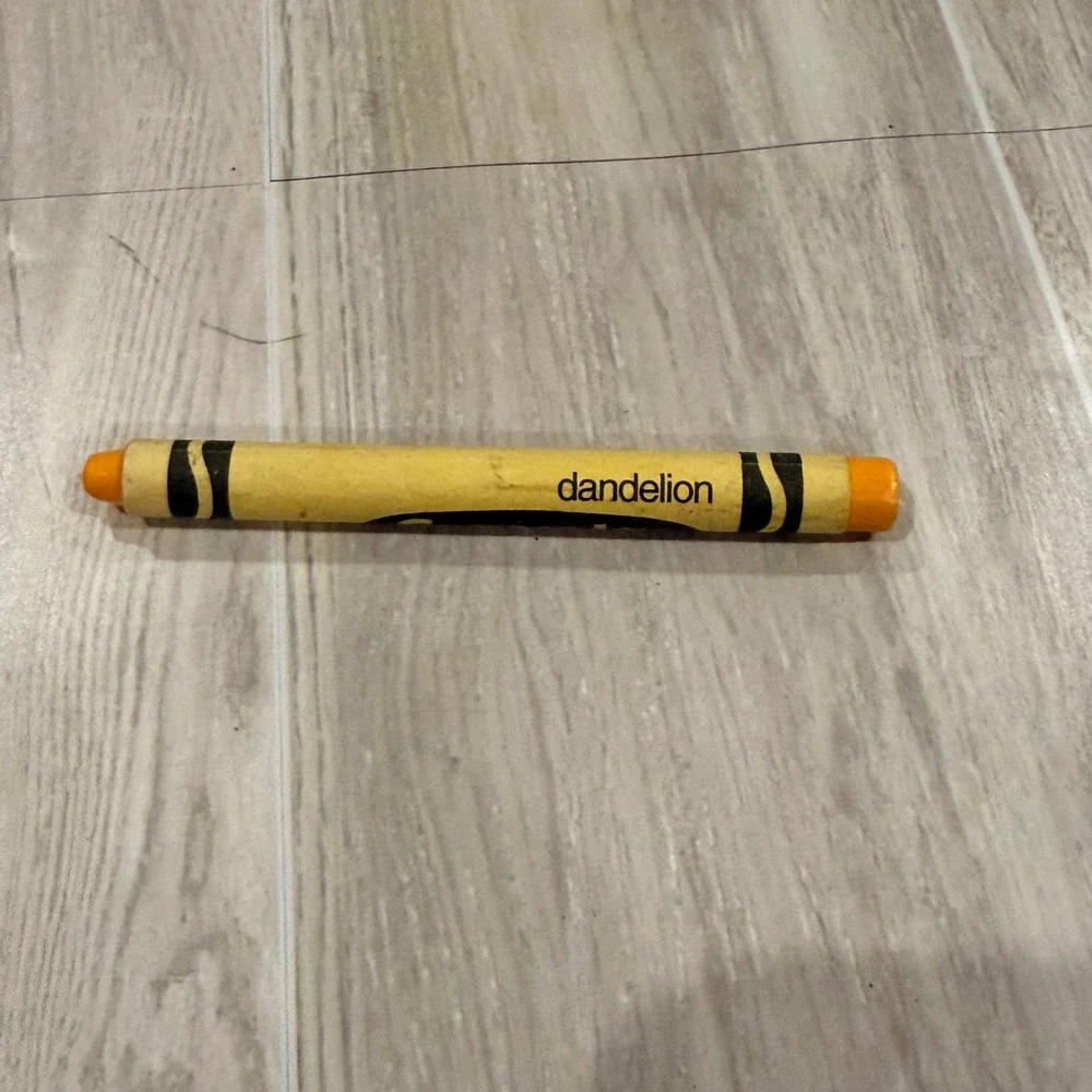 Vintage Crayola 64 Crayon Box w/ Sharpener Nickelodeon‎ Binney & Smith dandelion